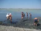 Озеро Мойнаки и лечебные процедуры - грязи соленого озера