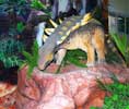 Детский отдых и дневные развлечения - один из динозавров в Динокафе